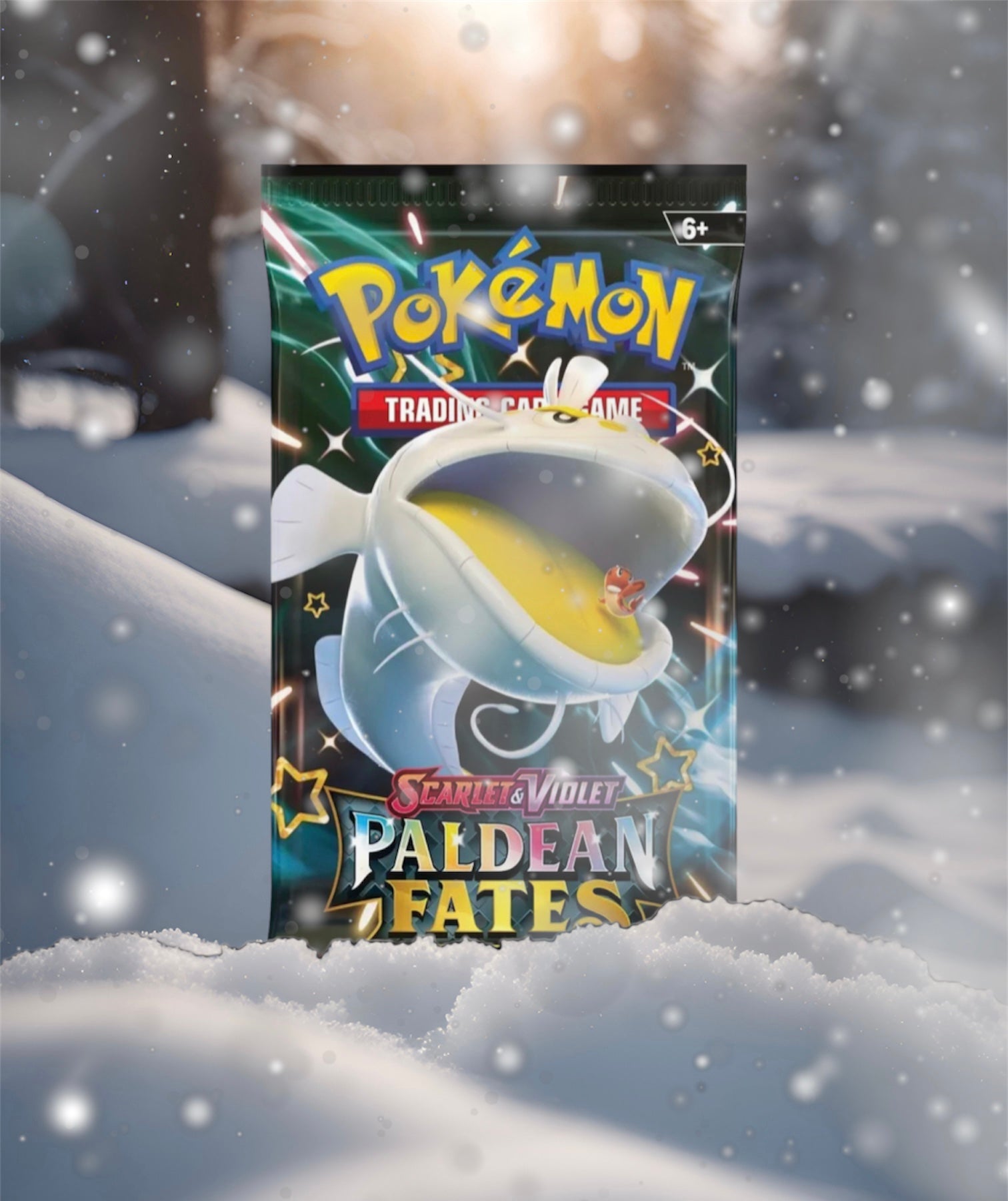 Pokémon Booster Bundle & Hanger Sleeves & Packs – BPMTRADINGSUPPLIES