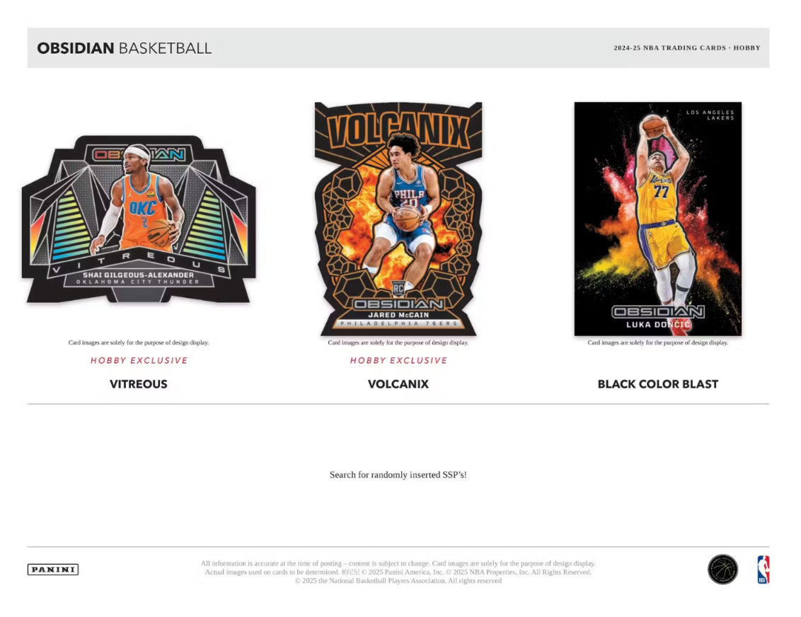 2024/25 Panini Obsidian Basketball Case (12 Hobby Box)